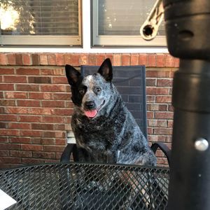 Meet your Posher, Deborah